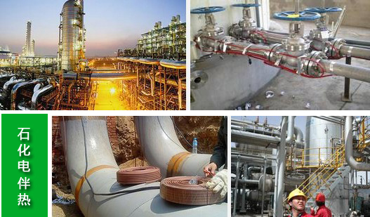 石化电麻豆少妇高清无码专区 石化电麻豆少妇高清无码专区